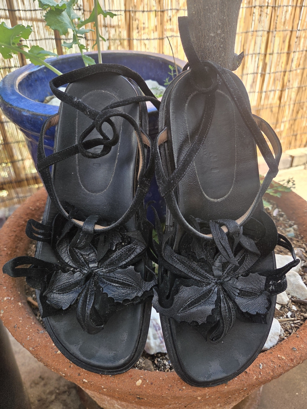 Marni Black Floral Appliqué Leather Sandals. 37. - Picture 3 of 8